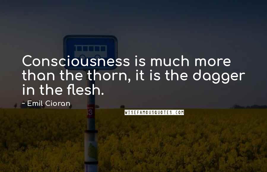 Emil Cioran quotes: Consciousness is much more than the thorn, it is the dagger in the flesh.