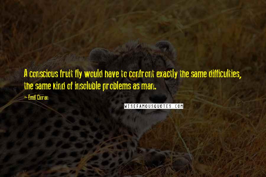 Emil Cioran quotes: A conscious fruit fly would have to confront exactly the same difficulties, the same kind of insoluble problems as man.