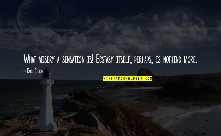 Emil Quotes By Emil Cioran: What misery a sensation is! Ecstasy itself, perhaps,