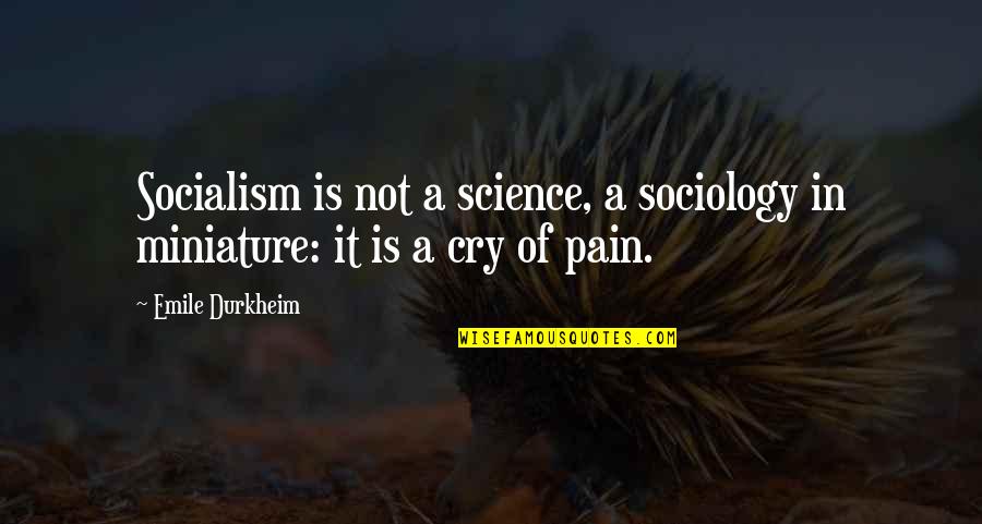 Emile Quotes By Emile Durkheim: Socialism is not a science, a sociology in