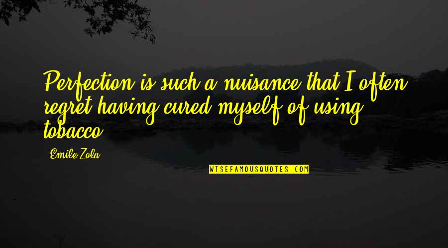 Emile Quotes By Emile Zola: Perfection is such a nuisance that I often