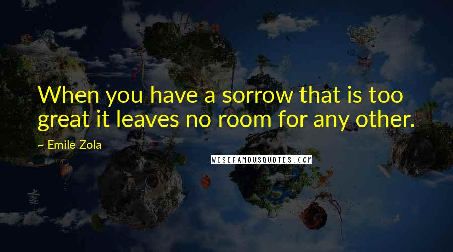 Emile Zola quotes: When you have a sorrow that is too great it leaves no room for any other.
