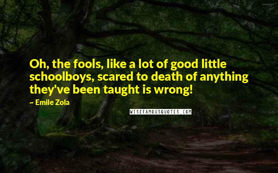 Emile Zola quotes: Oh, the fools, like a lot of good little schoolboys, scared to death of anything they've been taught is wrong! Emile Zola quotes: Oh, the fools, like a lot of good little schoolboys, scared to death of anything they've been taught is wrong!