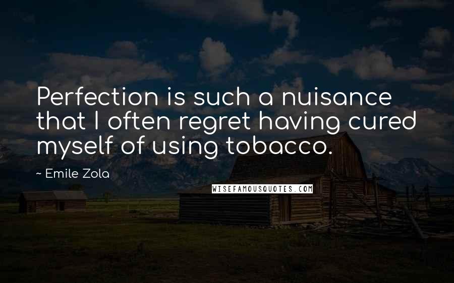 Emile Zola quotes: Perfection is such a nuisance that I often regret having cured myself of using tobacco.