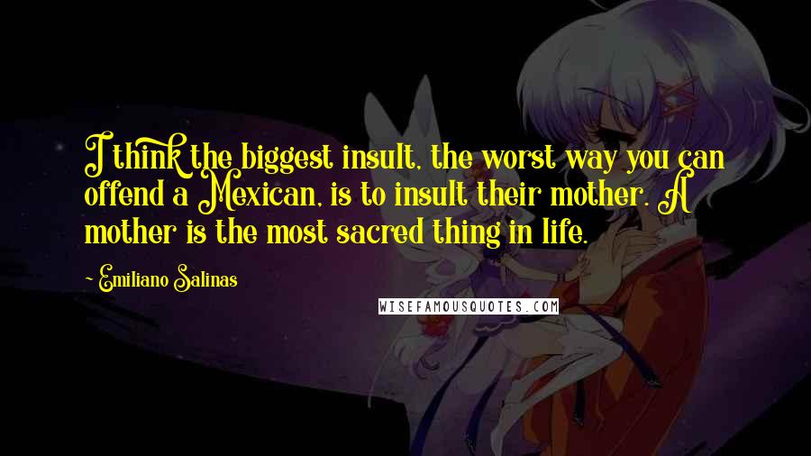 Emiliano Salinas quotes: I think the biggest insult, the worst way you can offend a Mexican, is to insult their mother. A mother is the most sacred thing in life.