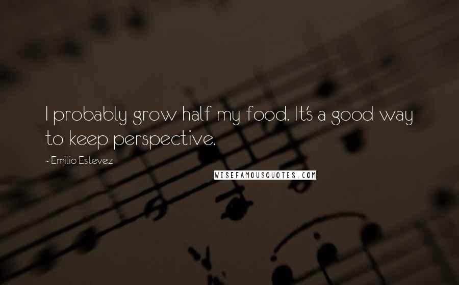 Emilio Estevez quotes: I probably grow half my food. It's a good way to keep perspective.