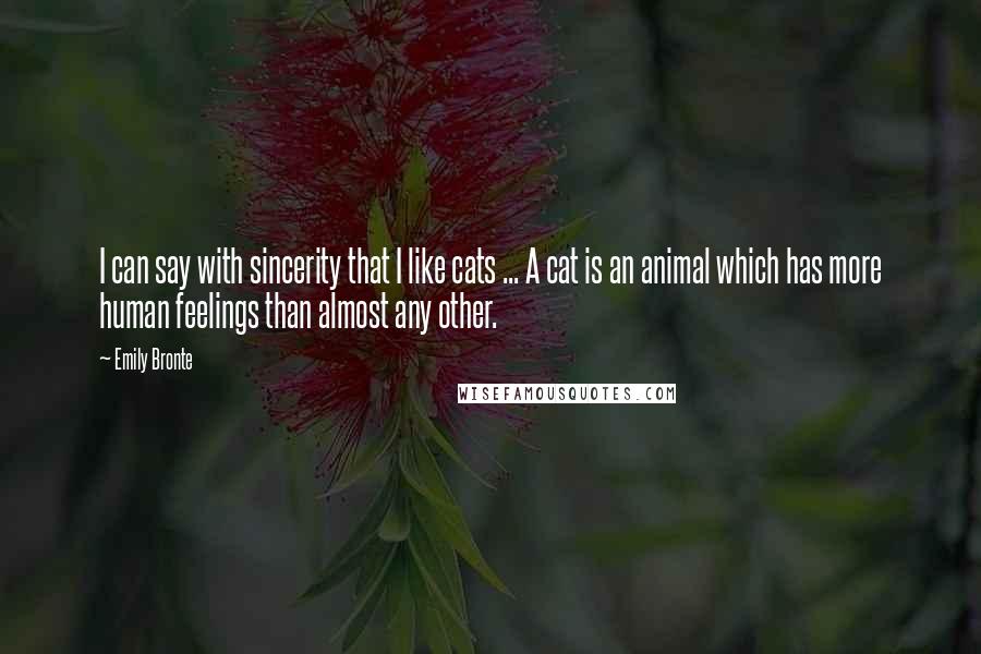 Emily Bronte quotes: I can say with sincerity that I like cats ... A cat is an animal which has more human feelings than almost any other.