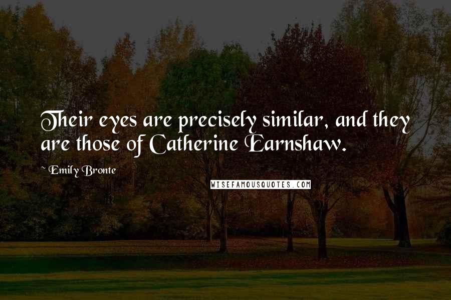 Emily Bronte quotes: Their eyes are precisely similar, and they are those of Catherine Earnshaw.