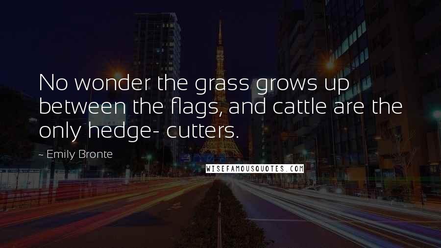 Emily Bronte quotes: No wonder the grass grows up between the flags, and cattle are the only hedge- cutters.