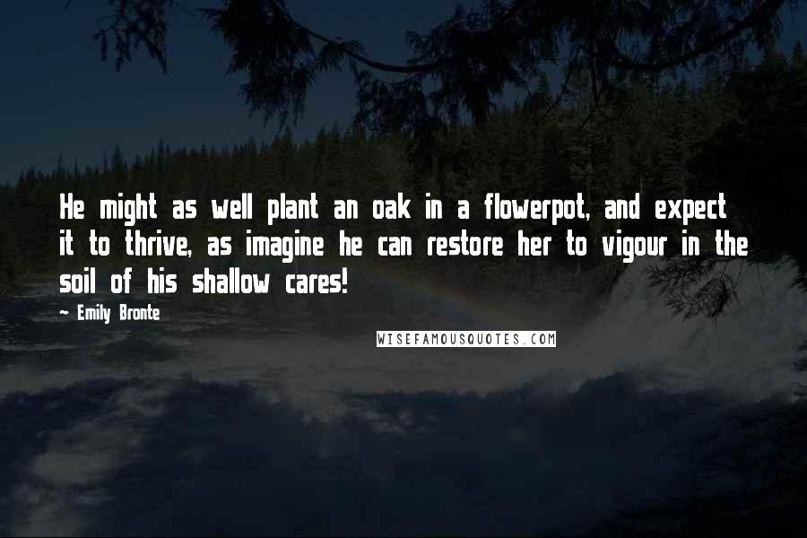 Emily Bronte quotes: He might as well plant an oak in a flowerpot, and expect it to thrive, as imagine he can restore her to vigour in the soil of his shallow cares!