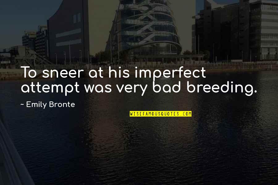 Emily Bronte Quotes By Emily Bronte: To sneer at his imperfect attempt was very