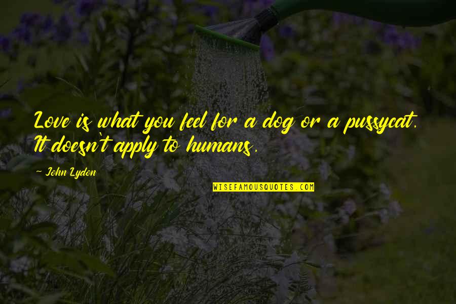 Emily Matthews Inspirational Quotes By John Lydon: Love is what you feel for a dog