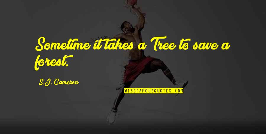 Emily P Bissell Quotes By S.J. Cameron: Sometime it takes a Tree to save a Emily P Bissell Quotes By S.J. Cameron: Sometime it takes a Tree to save a