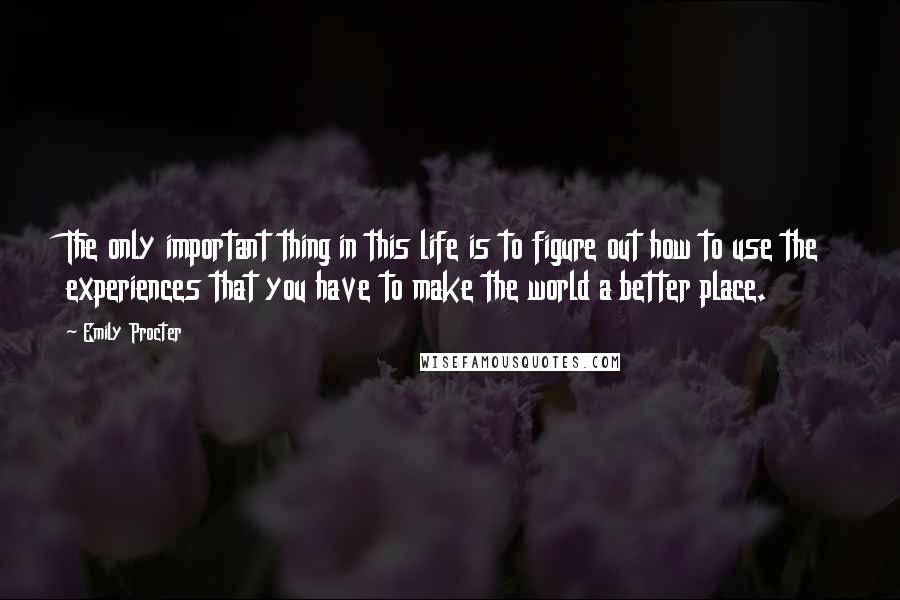 Emily Procter quotes: The only important thing in this life is to figure out how to use the experiences that you have to make the world a better place.