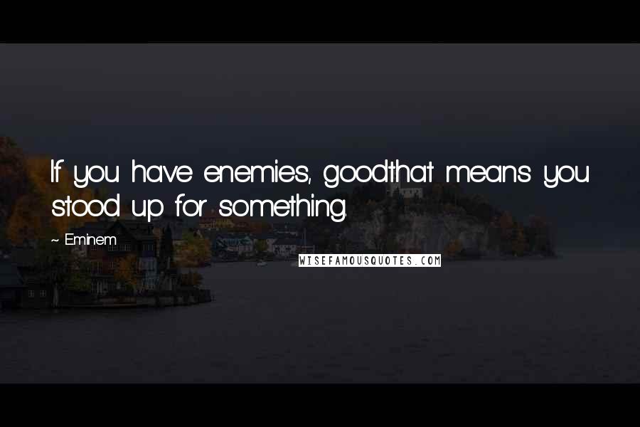 Eminem quotes: If you have enemies, goodthat means you stood up for something.