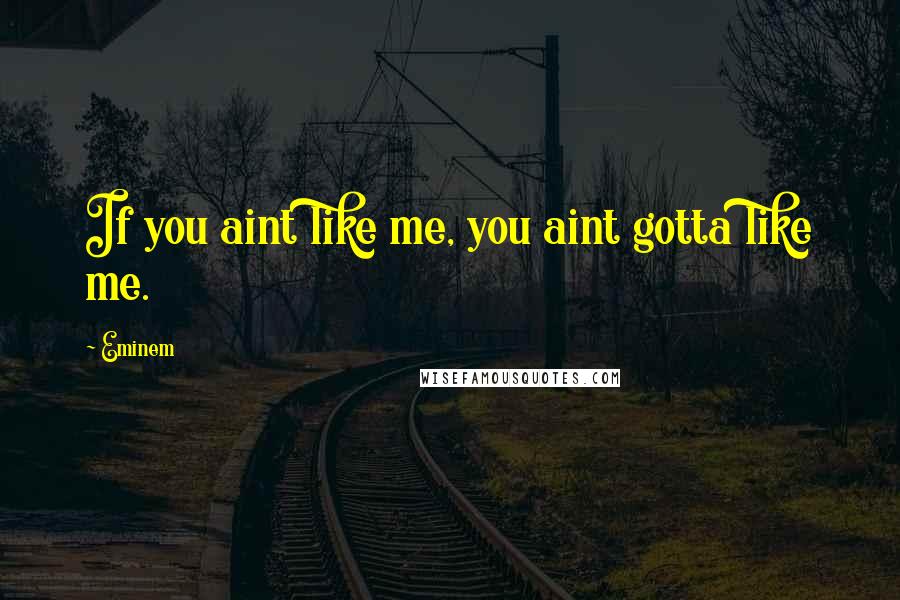 Eminem quotes: If you aint like me, you aint gotta like me.