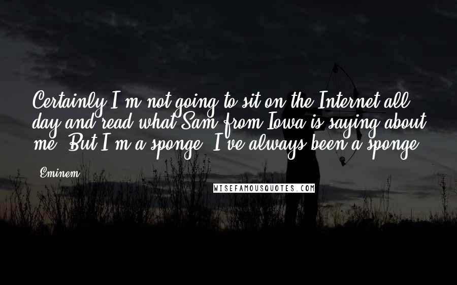 Eminem quotes: Certainly I'm not going to sit on the Internet all day and read what Sam from Iowa is saying about me. But I'm a sponge. I've always been a sponge.