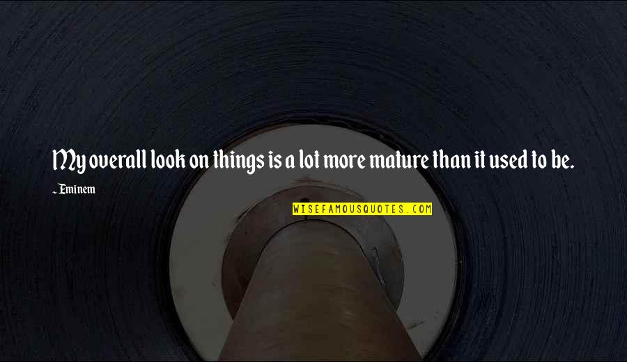 Eminem's Quotes By Eminem: My overall look on things is a lot