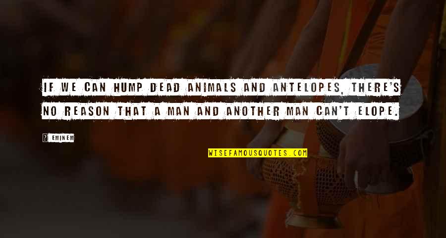 Eminem's Quotes By Eminem: If we can hump dead animals and antelopes, Eminem's Quotes By Eminem: If we can hump dead animals and antelopes,