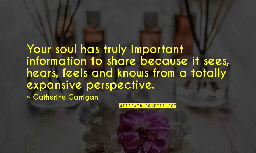 Emissora Rfm Quotes By Catherine Carrigan: Your soul has truly important information to share Emissora Rfm Quotes By Catherine Carrigan: Your soul has truly important information to share