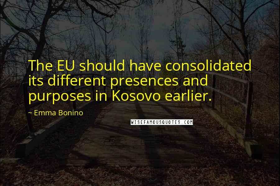 Emma Bonino quotes: The EU should have consolidated its different presences and purposes in Kosovo earlier.