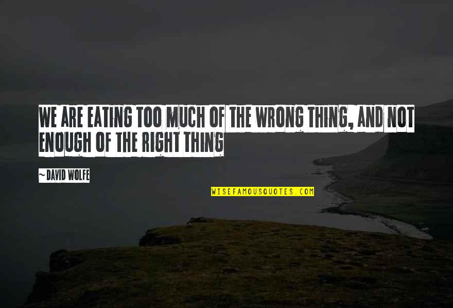 Emmeline B Wells Education Quotes By David Wolfe: We are eating too much of the wrong