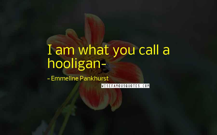 Emmeline Pankhurst quotes: I am what you call a hooligan-