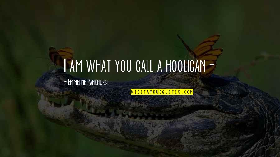 Emmeline Quotes By Emmeline Pankhurst: I am what you call a hooligan-