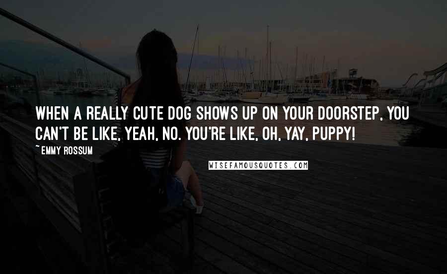 Emmy Rossum quotes: When a really cute dog shows up on your doorstep, you can't be like, Yeah, no. You're like, Oh, yay, puppy!