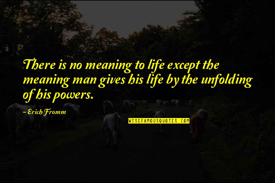 Emnity Quotes By Erich Fromm: There is no meaning to life except the