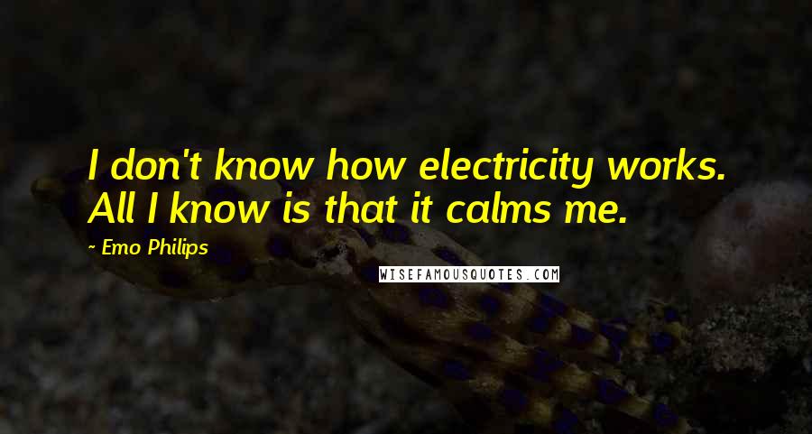 Emo Philips quotes: I don't know how electricity works. All I know is that it calms me.