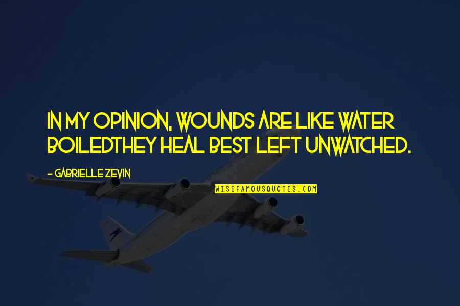 Emonetas Quotes By Gabrielle Zevin: In my opinion, wounds are like water boiledthey