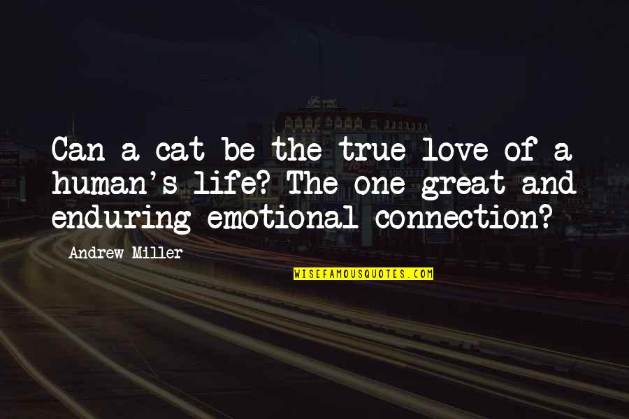 Emotional Connection Quotes By Andrew Miller: Can a cat be the true love of