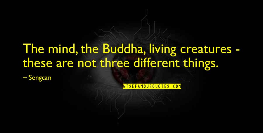 Emotional Detachment Quotes By Sengcan: The mind, the Buddha, living creatures - these