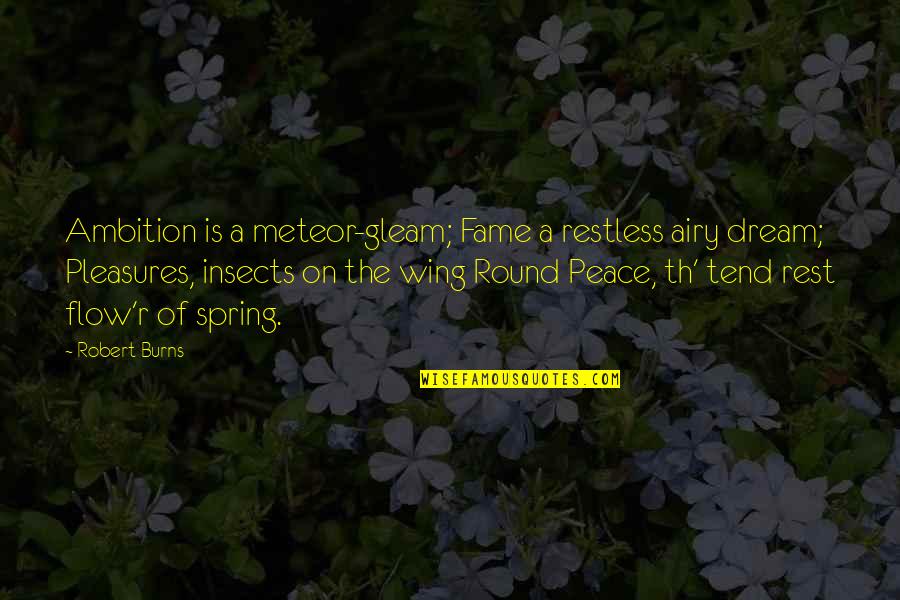 Emotionally Spent Quotes By Robert Burns: Ambition is a meteor-gleam; Fame a restless airy