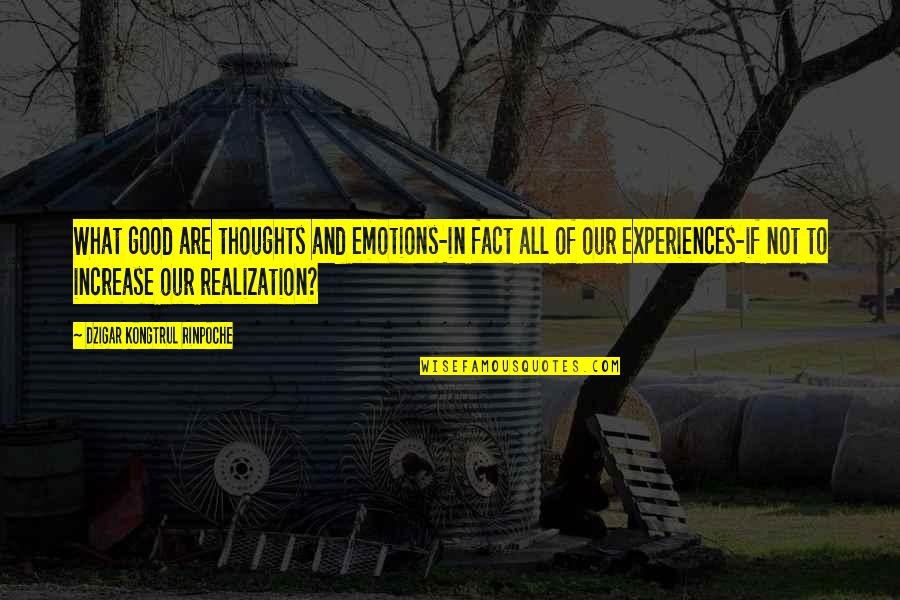 Emotions And Facts Quotes By Dzigar Kongtrul Rinpoche: What good are thoughts and emotions-in fact all Emotions And Facts Quotes By Dzigar Kongtrul Rinpoche: What good are thoughts and emotions-in fact all