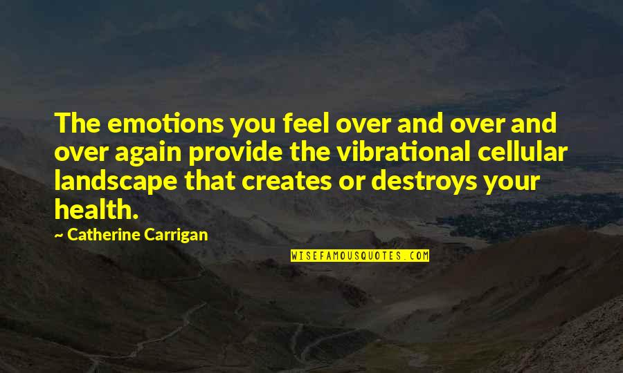 Emotions Control Quotes By Catherine Carrigan: The emotions you feel over and over and