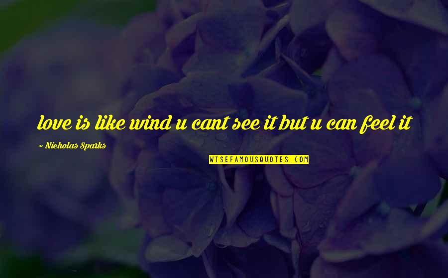 Emotions Or Someone Freaking Quotes By Nicholas Sparks: love is like wind u cant see it