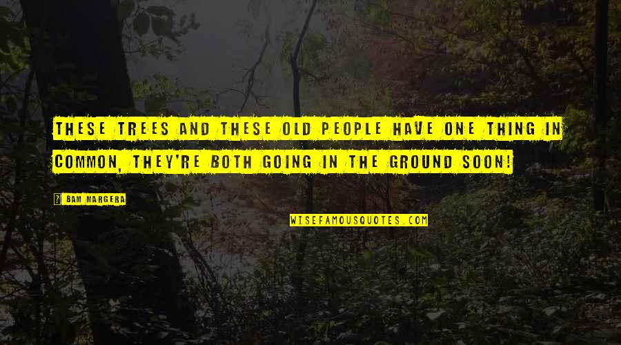 Emotions Taking Over Quotes By Bam Margera: These trees and these old people have one