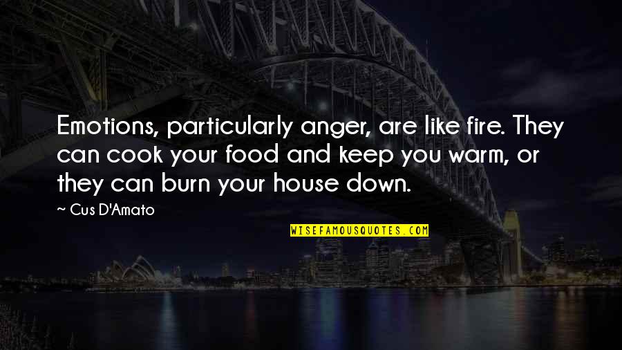 Emotions Up And Down Quotes By Cus D'Amato: Emotions, particularly anger, are like fire. They can