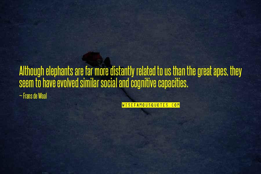 Empale Speed Quotes By Frans De Waal: Although elephants are far more distantly related to Empale Speed Quotes By Frans De Waal: Although elephants are far more distantly related to