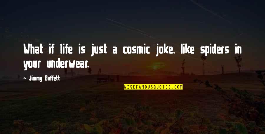 Empathises Quotes By Jimmy Buffett: What if life is just a cosmic joke,