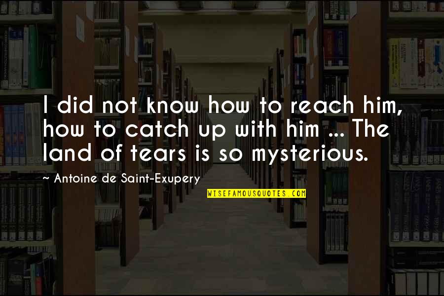 Empathy Is Quotes By Antoine De Saint-Exupery: I did not know how to reach him,