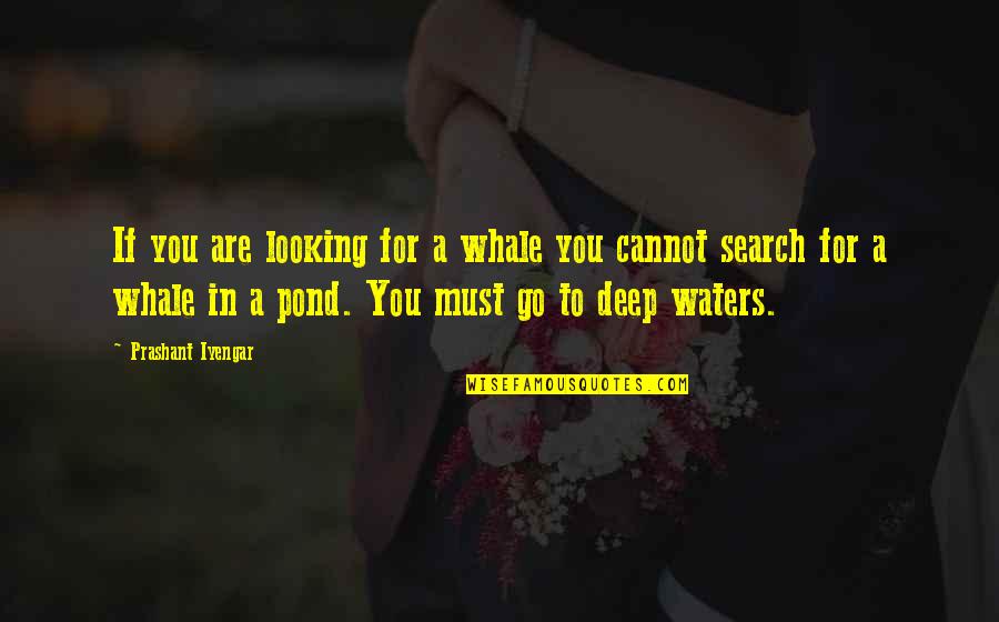 Empeine Del Quotes By Prashant Iyengar: If you are looking for a whale you Empeine Del Quotes By Prashant Iyengar: If you are looking for a whale you