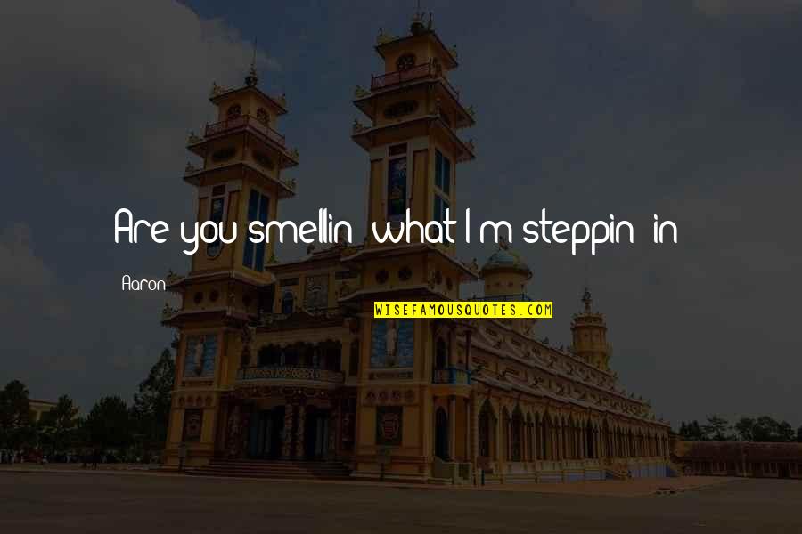 Empezaste O Quotes By Aaron: Are you smellin' what I'm steppin' in?
