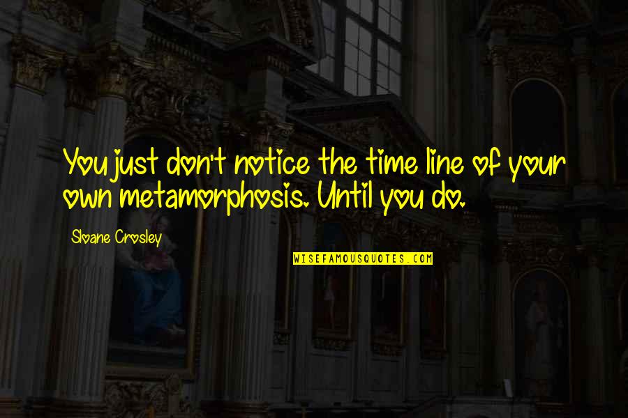 Employee Health Quotes By Sloane Crosley: You just don't notice the time line of