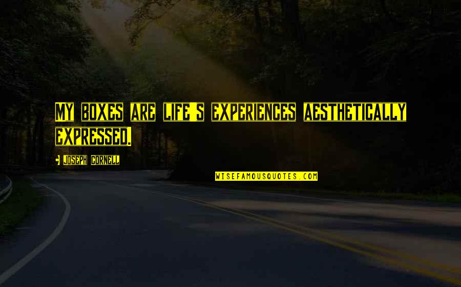Empoignade Quotes By Joseph Cornell: My boxes are life's experiences aesthetically expressed. Empoignade Quotes By Joseph Cornell: My boxes are life's experiences aesthetically expressed.
