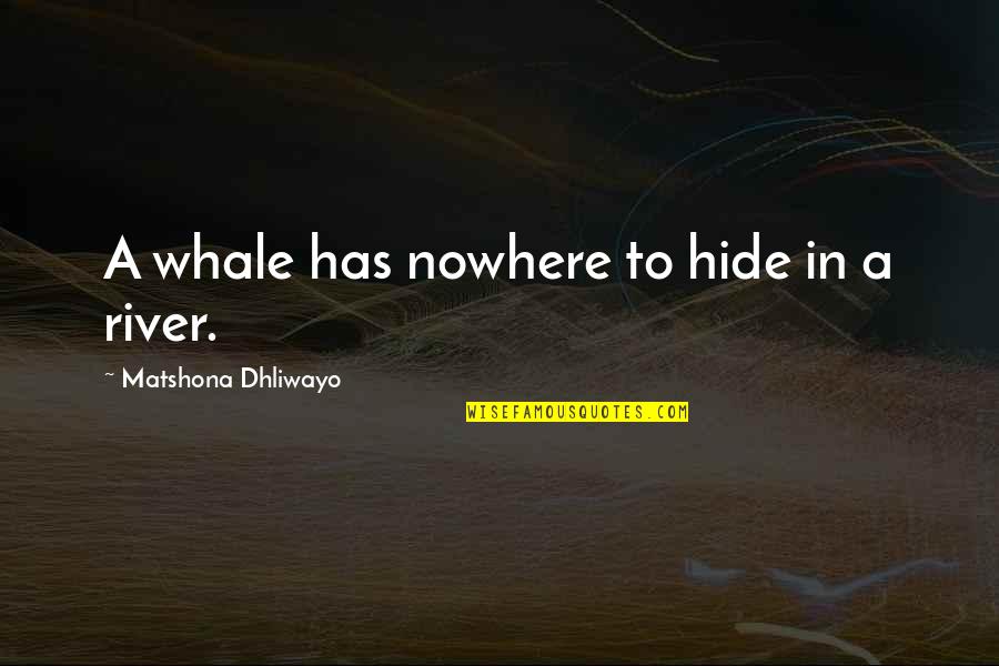 Emporiums Quotes By Matshona Dhliwayo: A whale has nowhere to hide in a