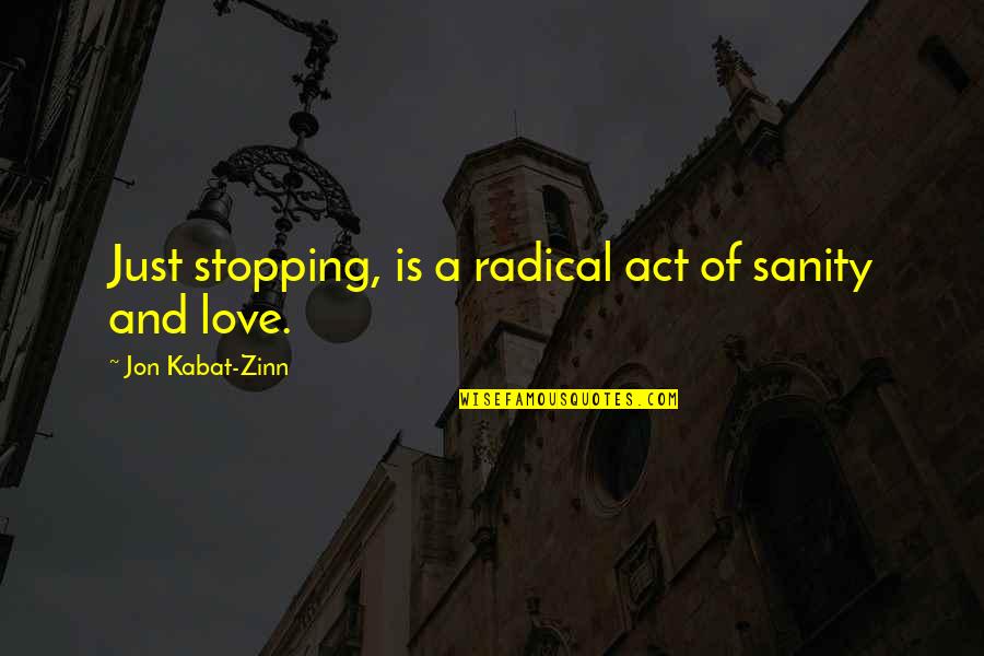 Empress Orchid Quotes By Jon Kabat-Zinn: Just stopping, is a radical act of sanity