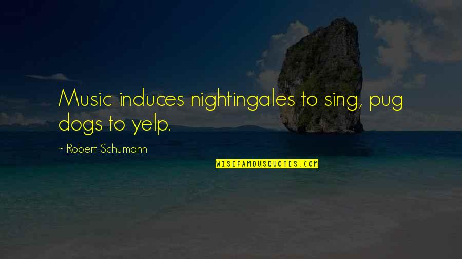 Empty And Sad Quotes By Robert Schumann: Music induces nightingales to sing, pug dogs to